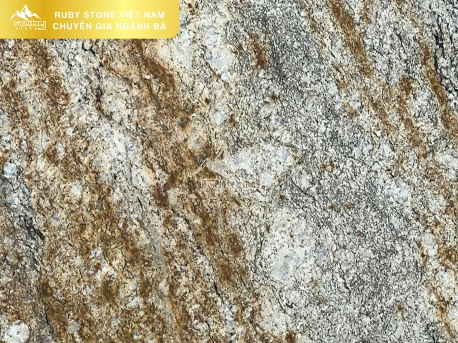 GRANITE | VÀNG ARMANI